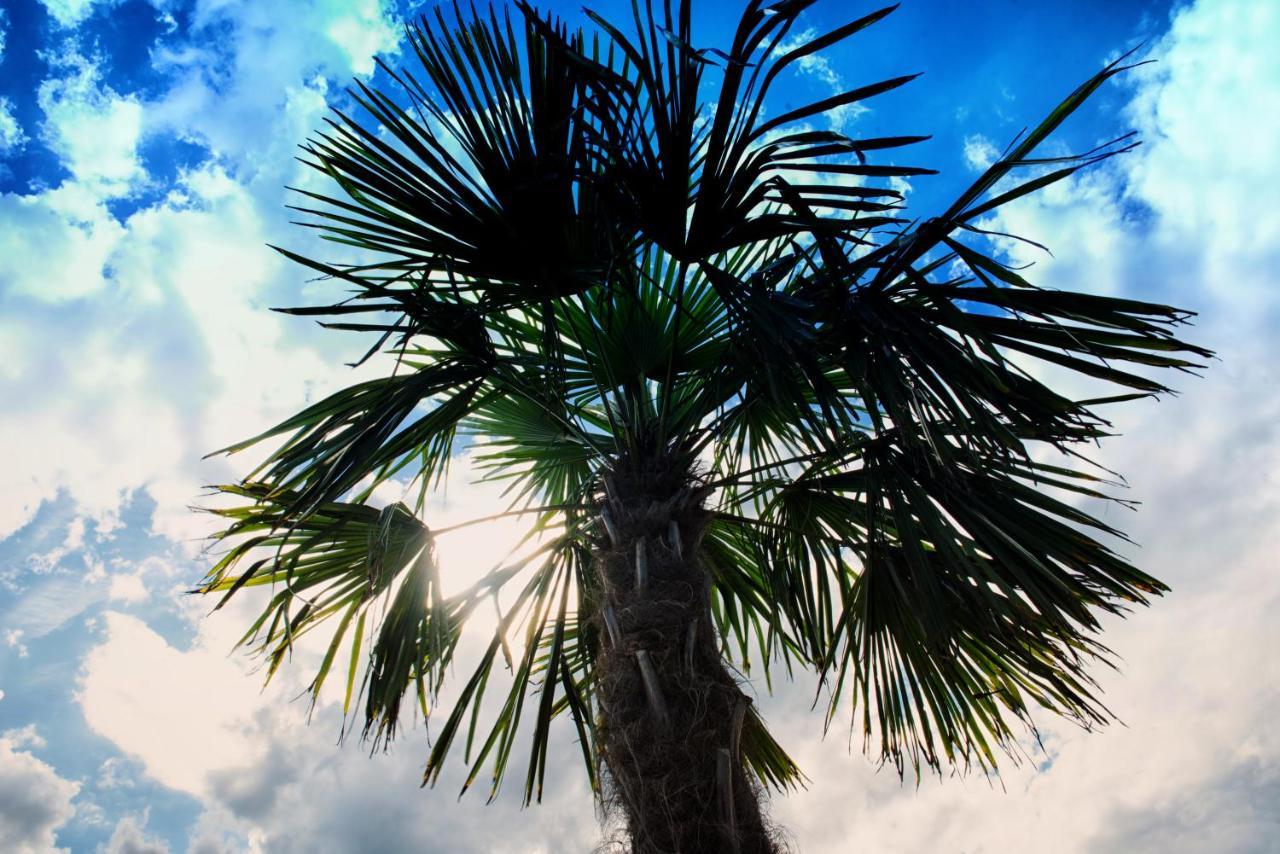 Nocleg Zator Domki Paradise Pod Palmami Exteriér fotografie